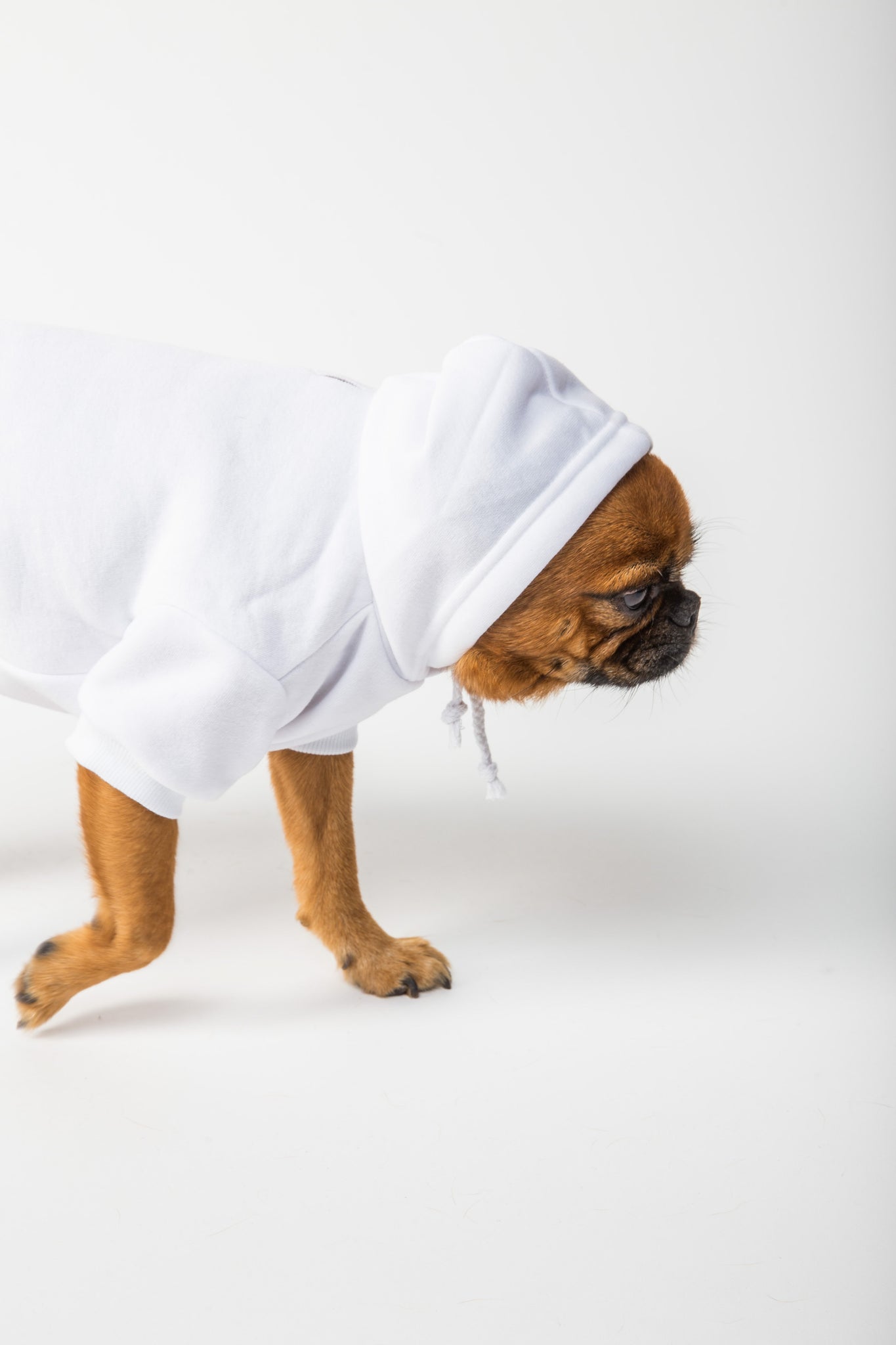 Best White Dog Hoodie